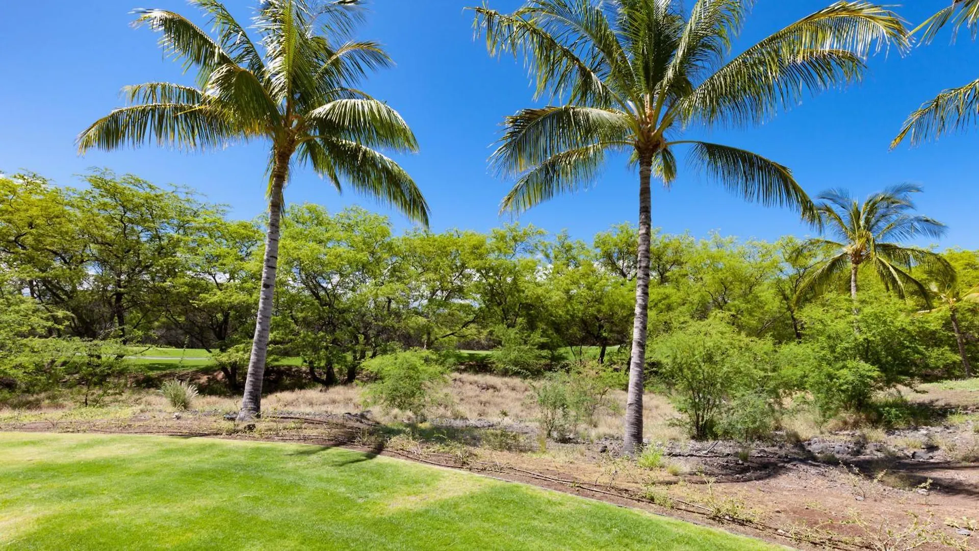 וילה וויקולואה Hawaiiana Escape Tropical 3Br Kulalani Home With Bikes And Beach Club ארצות הברית