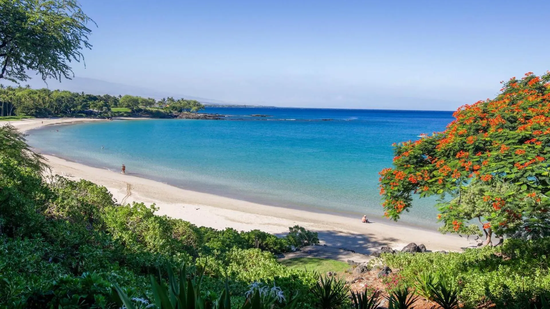 וויקולואה Hawaiiana Escape Tropical 3Br Kulalani Home With Bikes And Beach Club 0*,